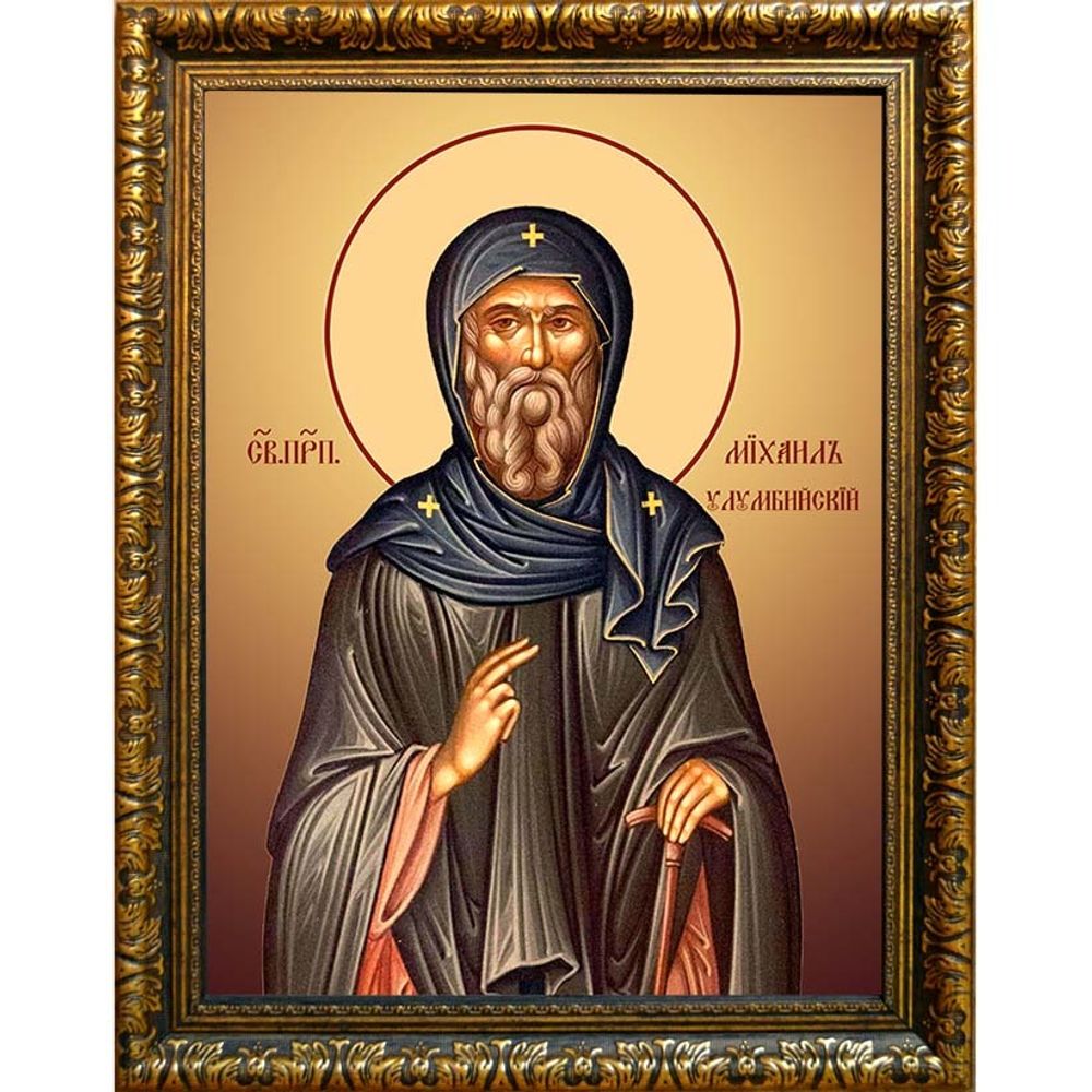 Михаил Улумбийский преподобный. Икона на холсте.