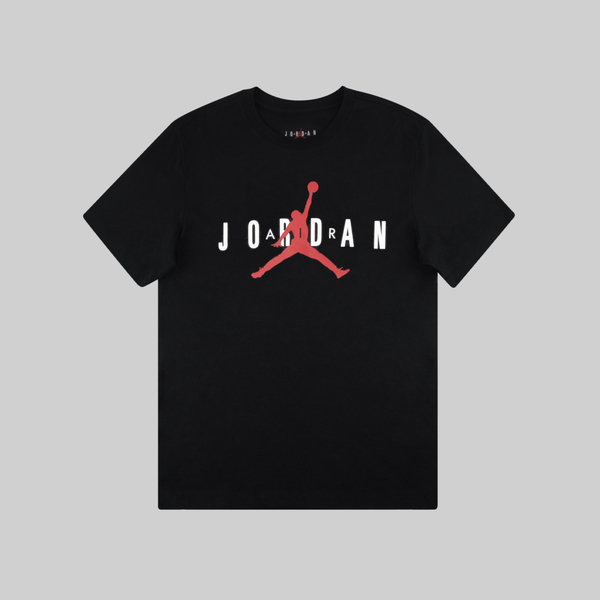 Футболка мужская Jordan Air Wordmark артикул:CK4212-013 - купить в магазине Дайс