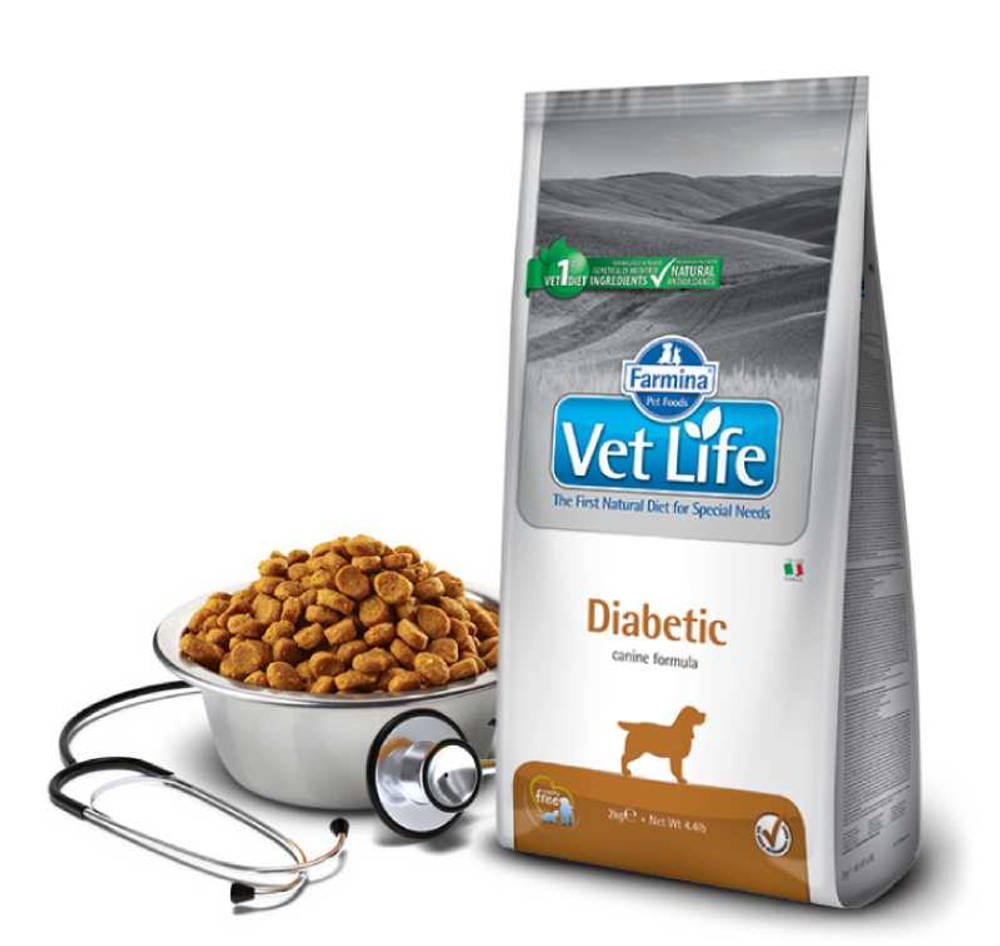 Сухой корм FARMINA Vet Life Dog Diabetic для собак с сахарным диабетом - 2 кг