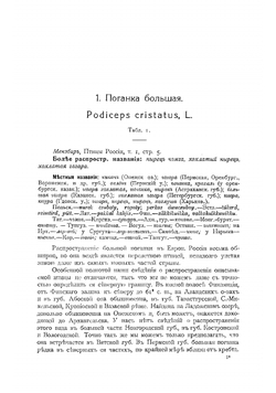 Охотничьи и промысловые птицы Европейской России и Кавказа | Мензбир Михаил Александрович