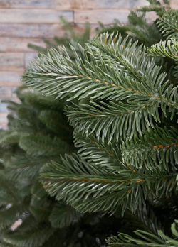 Ель Благородная 100% литая 230см зеленая Black Box