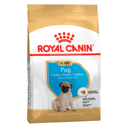 Royal Canin Pug Puppy 1,5 кг - корм для щенков породы мопс