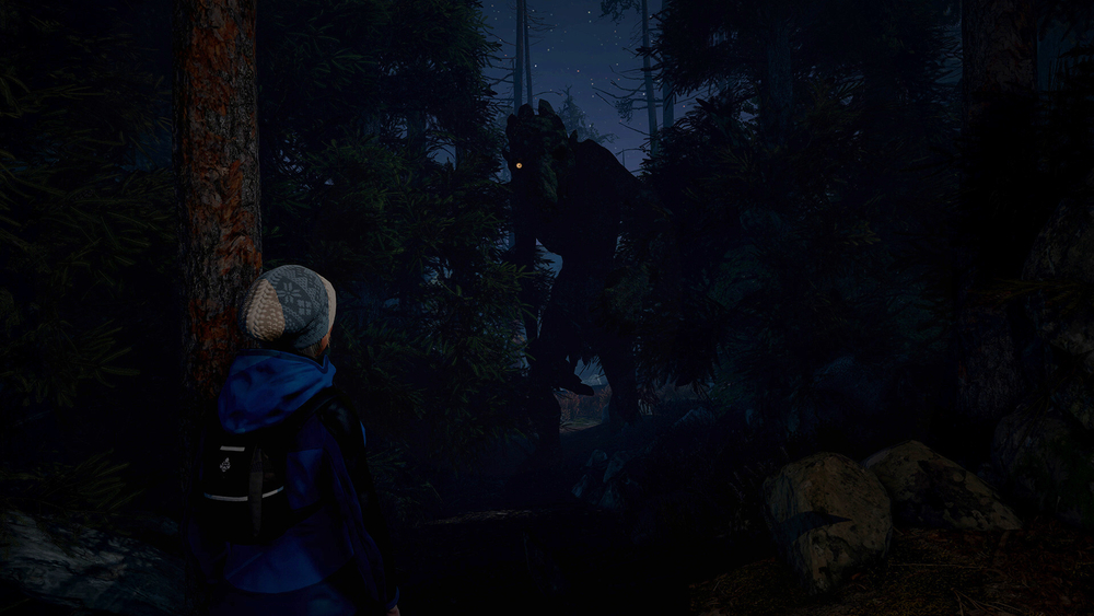 Through the Woods (для ПК, цифровой код доступа)