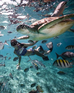 Пляжный отдых на Мальдивах