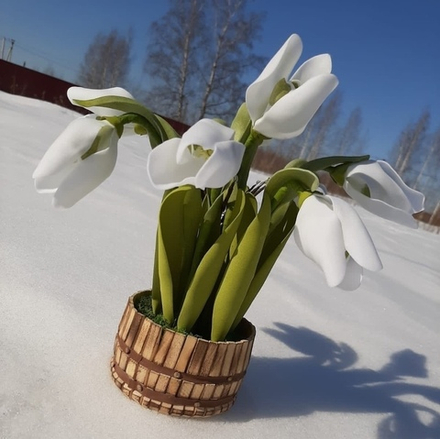 МК Подснежники