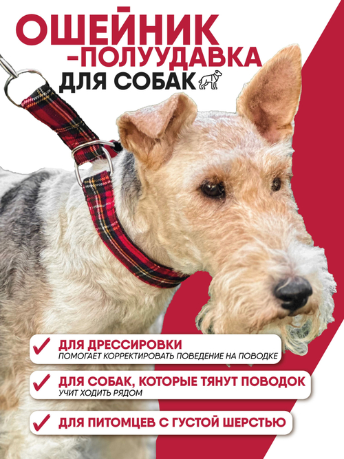 Ошейник полуудавка для мелких и средних собак, М