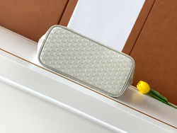 Moynat M Tote PM