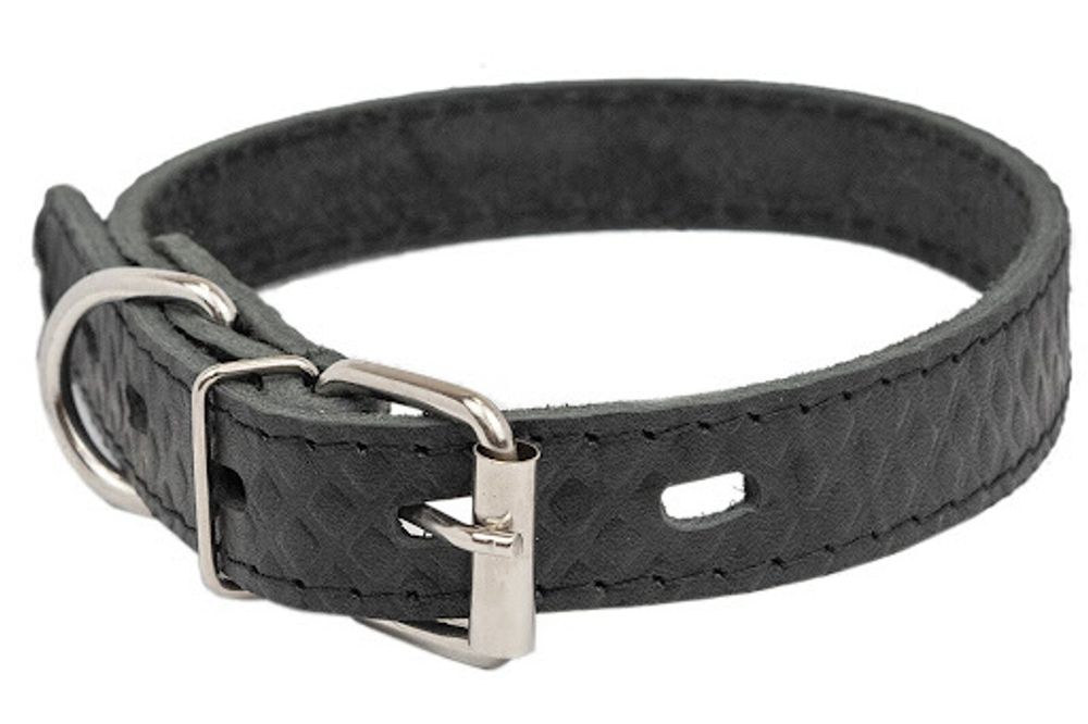 Ошейник Боттега из кожи простроченный для собак 25 мм обхват шеи 29-39 см.