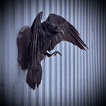 Чучело ворона