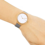 Женские наручные часы Skagen SKW2616