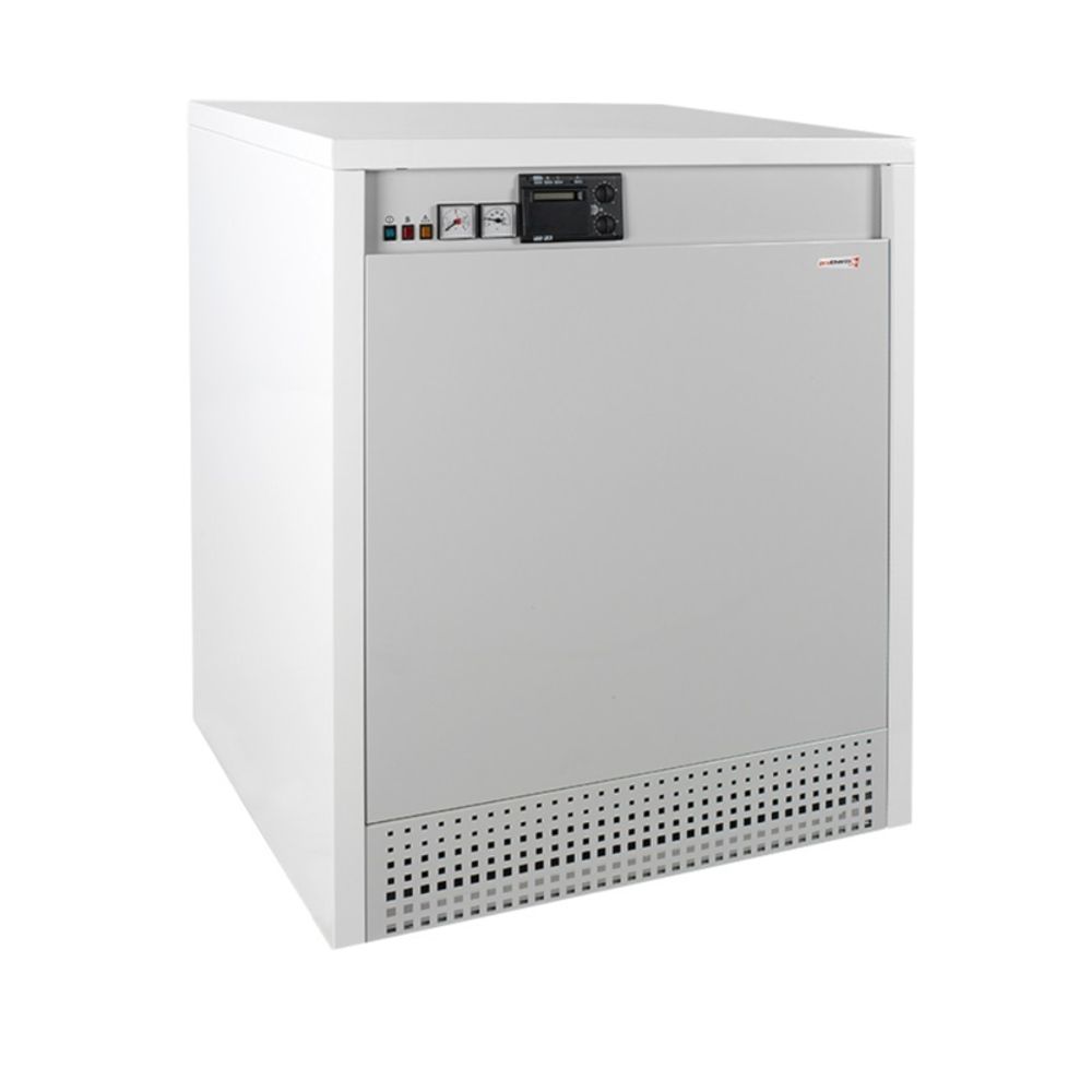 Котел газовый Protherm Гризли 100 KLO