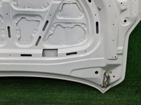 Капот Faw Besturn T77 (2018-н.в.)
