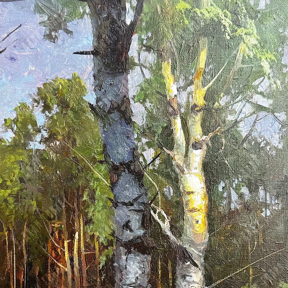 Быков В. А. (р. 1958 г.) Березки. Холст, масло. Россия, 2022 г.