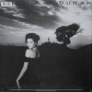 Duran Duran / Notorious (LP)