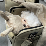 203 Плед двухсторонний "SSOOOK Blanket"