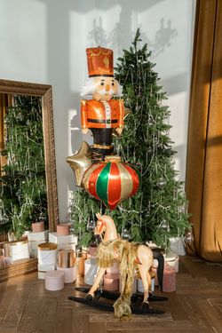 Воздушные шары №5010