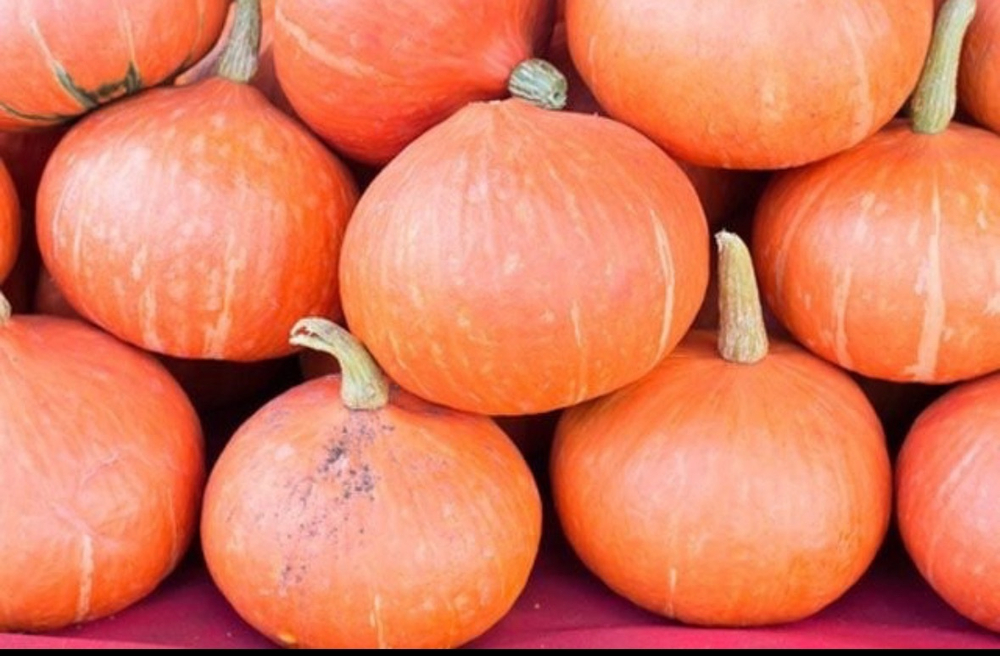 Тыква деревенская (на 2-3кг), кг