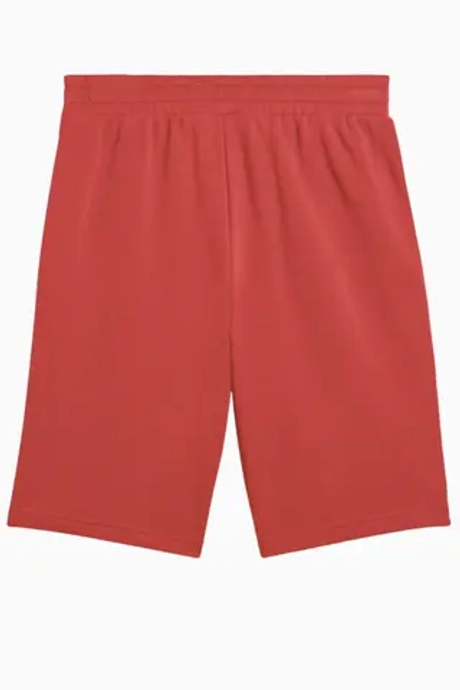 Шорты Puma Essentials 2 Color No. 1 Logo - красный