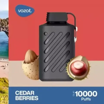 VOZOL GEAR 10000 - Cedar Berries (5% nic)