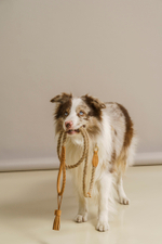 Поводок "Кантри-пони" Рыжий (льняной канат)