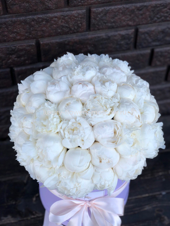 51 пион в шляпной коробке