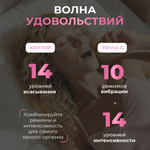 Бесконтактный клиторальный стимулятор Womanizer Next Duo, фиолетовый