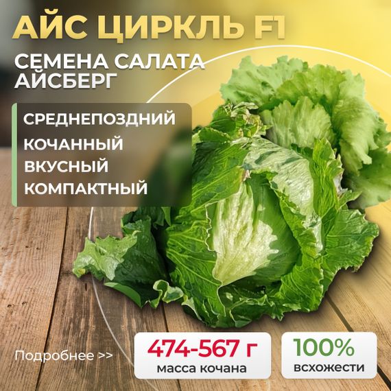 АЙС ЦИРКЛЬ семена салата Syngenta купить