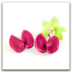 Орхидея цимбидиум