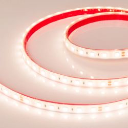 Светодиодная лента герметичная RTW-PFS-B60-13mm 24V Warm3000 (14.4 W/m, IP68, 5060, 5m) (Arlight, -) 033788