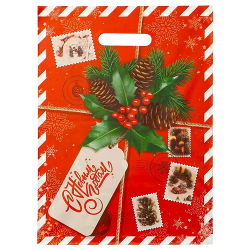 Пакет "Новогодняя посылка", полиэтиленовый с вырубной ручкой, 30х40 см, 50 мкм