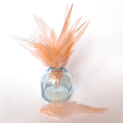 Перья петуха персик 10 - 15 см. 20 шт.