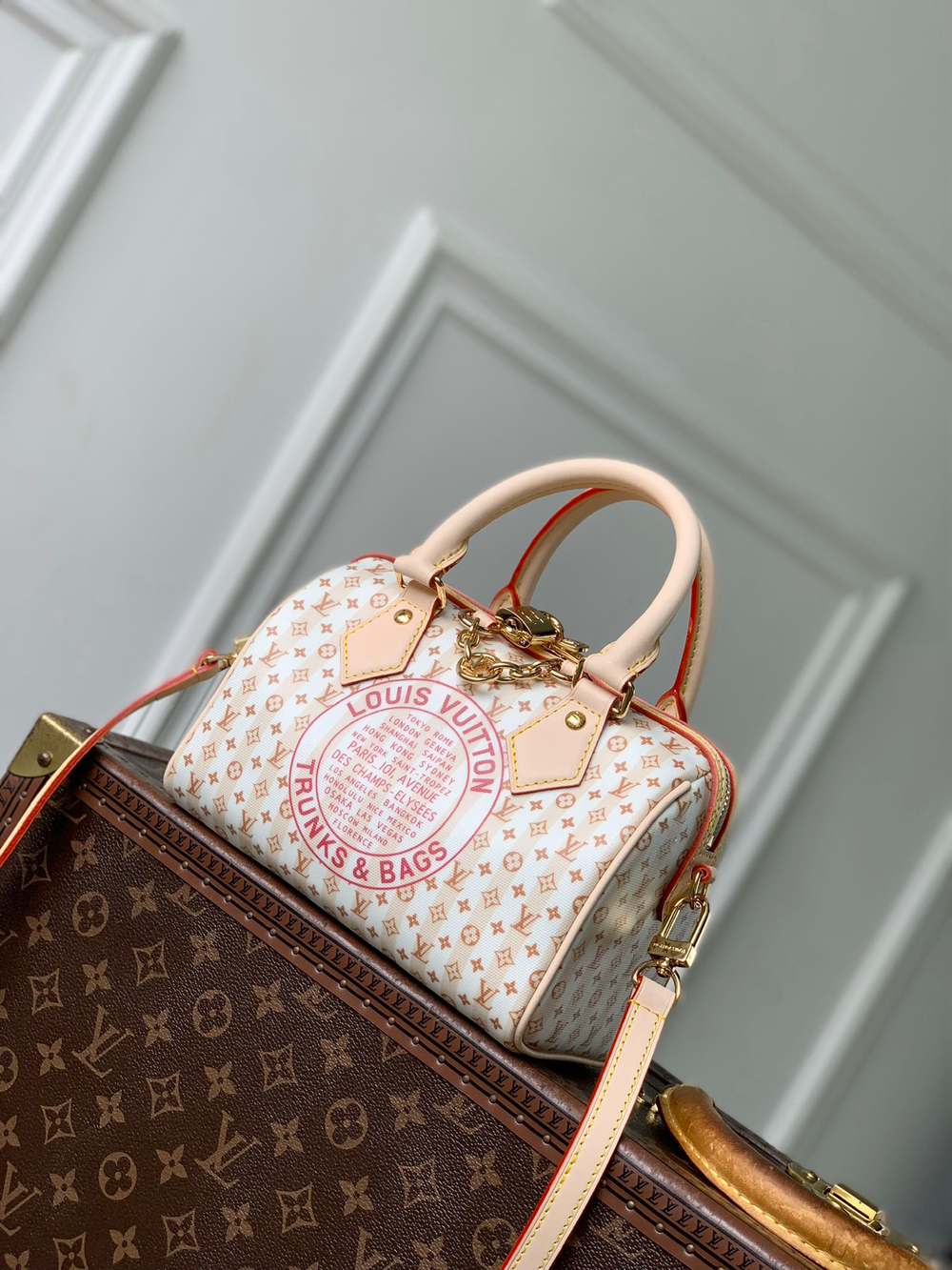 Louis Vuitton Speedy Bandouliere 20