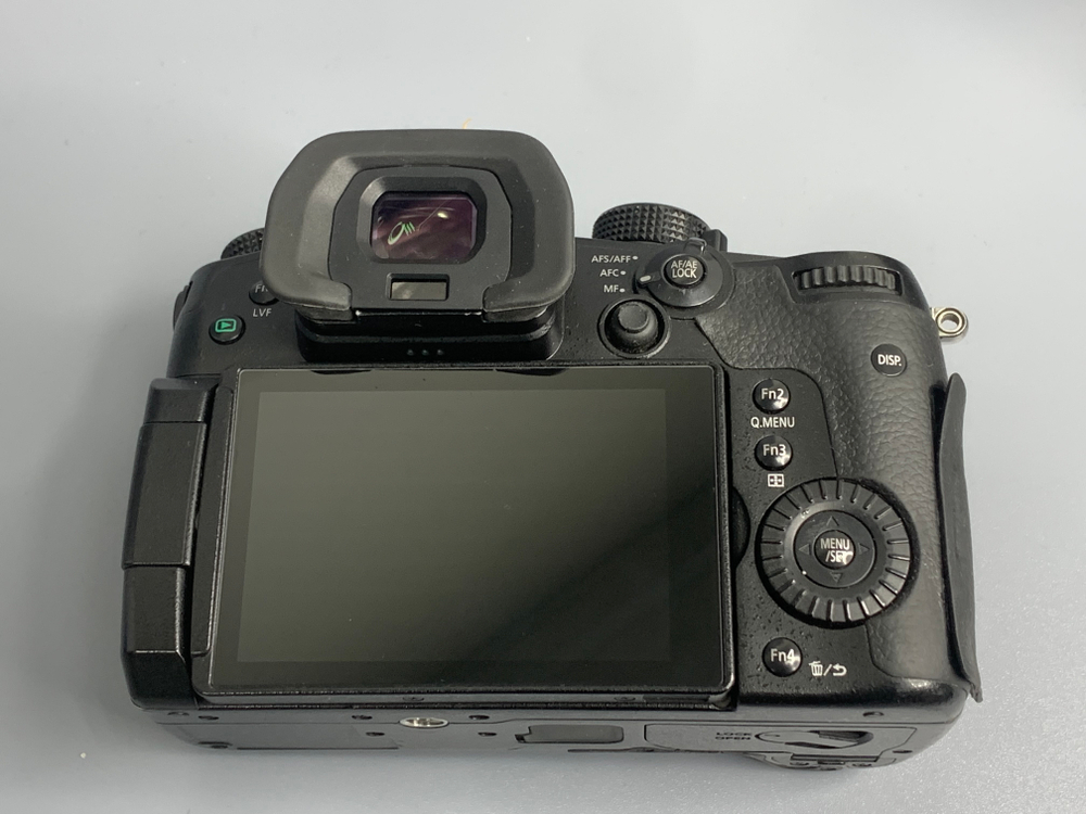 Panasonic Lumix DC-GH5S 16.000 кадров