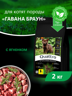Корм сухой для котят породы Гавана браун, с ягненком, 2кг, QUATTRO