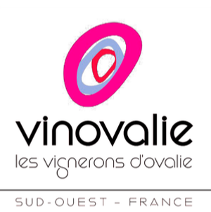 VINOVALIE