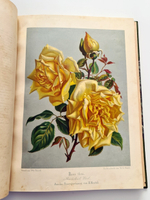 "Nestel`s Rosengarten. [  Сад роз Нестела]". E. Schweizerbartsche Verlagshandlung. 1869г.