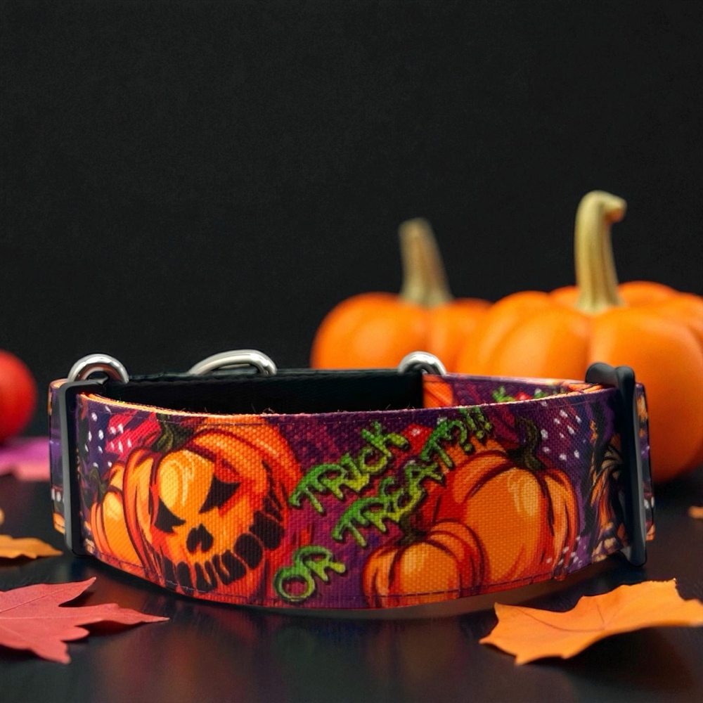 Ошейник Pawmpkin