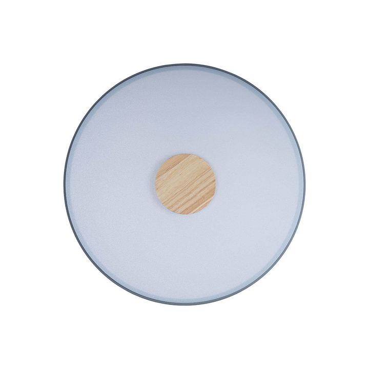 Потолочный светодиодный светильник Loft IT Axel 10003/24 grey