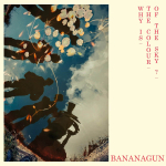 Bananagun - Why Is The Colour Of The Sky? - Red LP