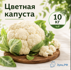Цветная капуста быстрозамороженная 10 кг