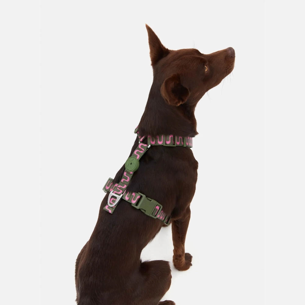 Анатомическая шлейка Jungle