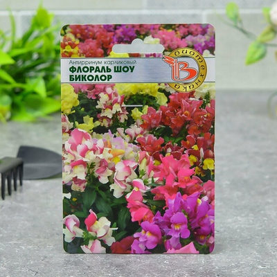 АНТИРРИНУМ Флораль Шоу Биколор амп. Биотехника Ц (10шт)