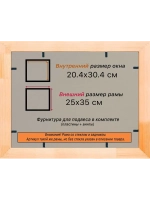 Рамка для постера и фотографий 20x30