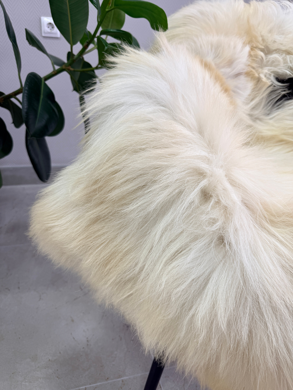 Шкура коврик меховой прикроватный овчина, 120х65 см.