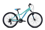 Велосипед Fuji MTB KIDS Dynamite 24 SPORT A1-SL 2021