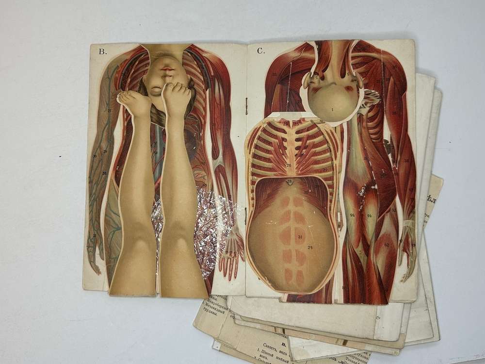 Платен М. Новый способ лечения. Лечение целебными силами природы. — Берлин: Изд. Просвещение, 1901