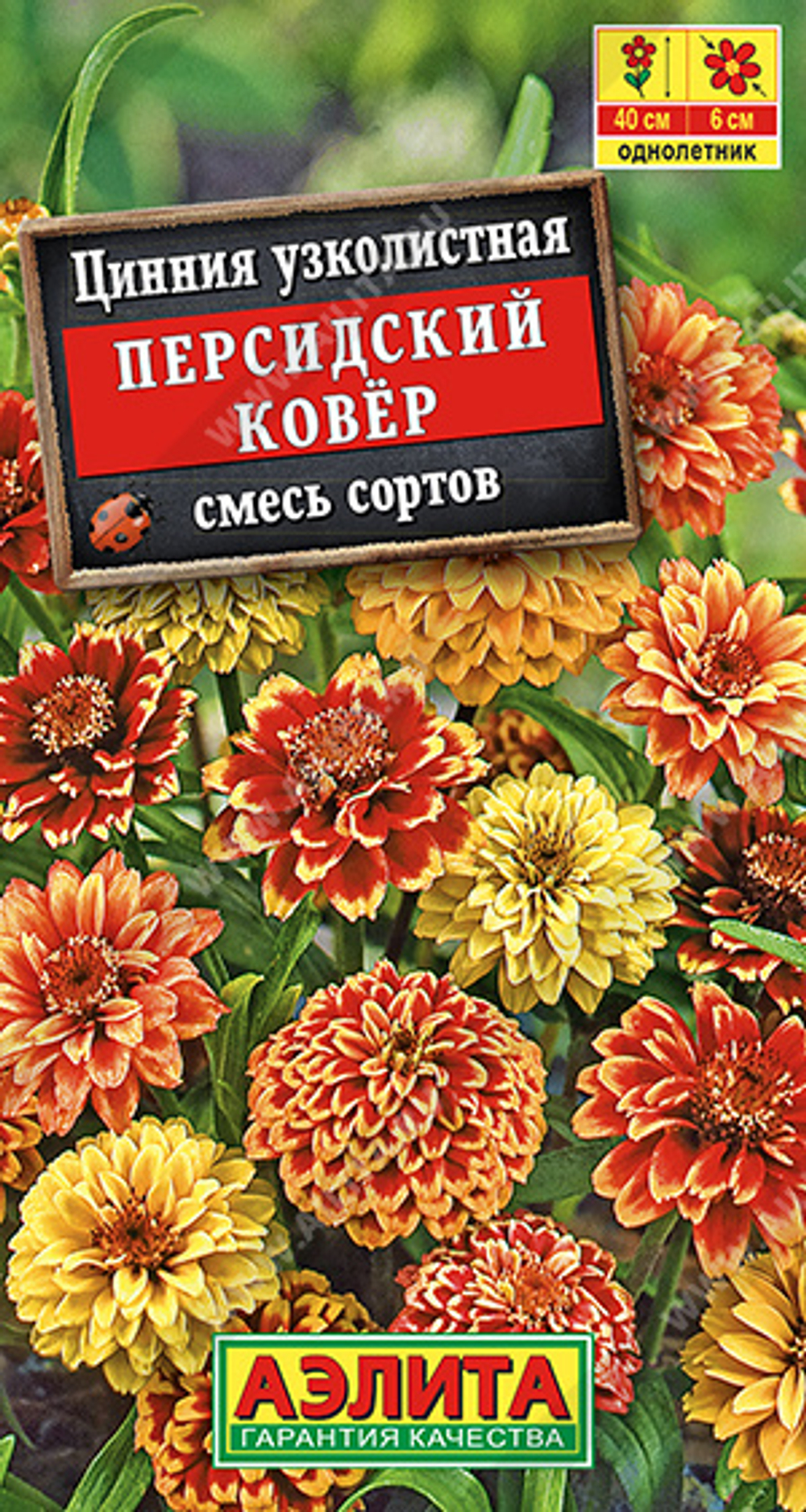 Цинния узколистная Персидский ковер, смесь
