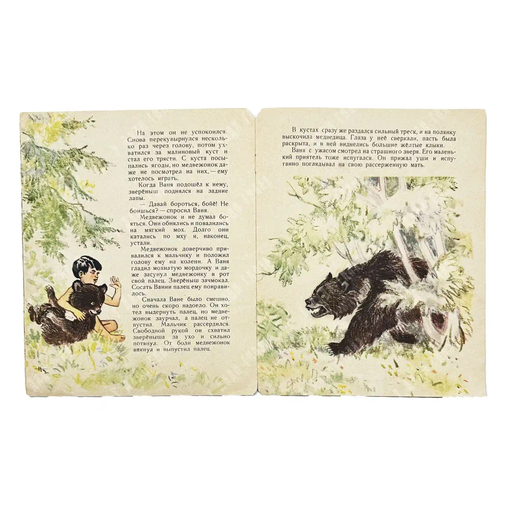 Фрейберг Е. Бойе. Повесть / Рис. Н. Кочергина. — Л.: Детгиз, 1963.