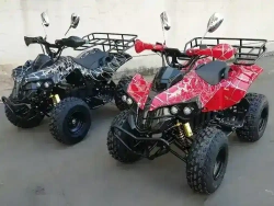 Электроквадроцикл Green Camel Атакама T500 (60V 1500W R8 Дифференциал)