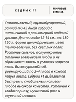 Семена огурцов Седрик F1, 7 семян (Vita Green / Вита Грин)